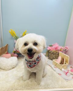4月24日のわんちゃん😊
