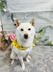 5/12のわんちゃん🤗