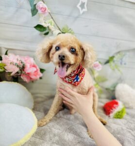 5月15日のわんちゃん🐶