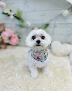 5月24日のわんちゃん🤗