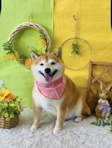 5月14日のわんちゃん🥰追加