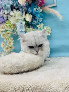 6/7のわんちゃん💖