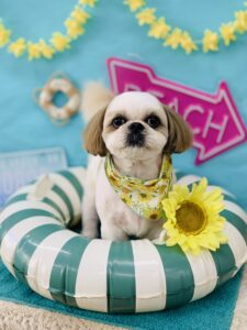 7/28のわんちゃん🐶