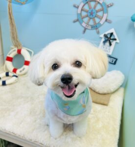 8月30日のわんちゃん☺️