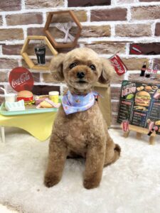 9月28日のわんちゃん🌿