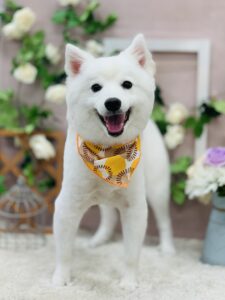 9/14のわんちゃん💖