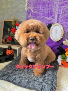 10月18日のわんちゃん🐶