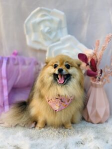 11/14のわんちゃん😊