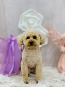 11/19のわんちゃん🩷