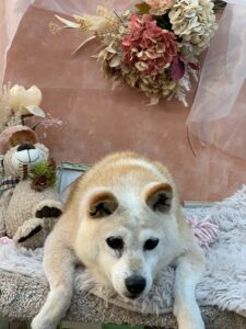 1/27のわんちゃん、ねこちゃん❣️