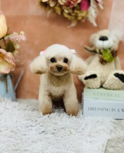 1/28のわんちゃん🥰