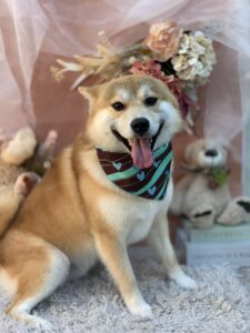 1/30のわんちゃん☺️