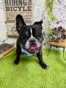 1月22日のわんちゃん🐾