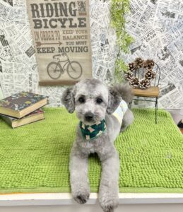 1月23日のわんちゃん☺️