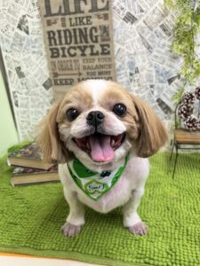 1月24日のわんちゃん🩷