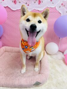 2月20日のわんちゃん😊