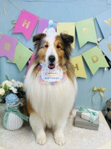 3/14のわんちゃん🌟