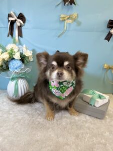 3月21日のわんちゃん☺️